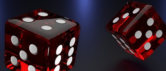 Spielen Sie jetzt und erhalten Sie Ihr wÃ¶chentliches Live-Casino-Cashback von 5 % bei Ditobet